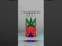 Hayvanlar ve bitkiler için çok yönlü şekillerde manyetik fayans montajı Ananas Evi